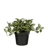 KUNSTPLANT MICA TRADESCANTIA IN POT