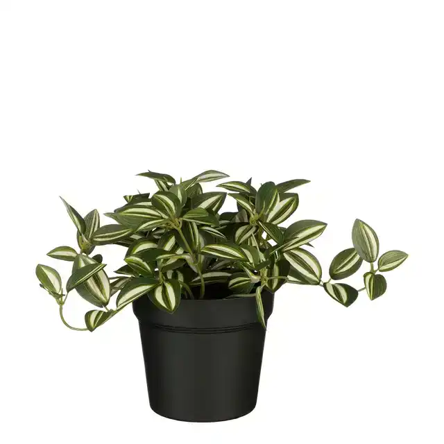 KUNSTPLANT MICA TRADESCANTIA IN POT
