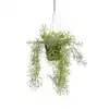 KUNSTPLANT MICA RHIPSALIS HANGEND IN