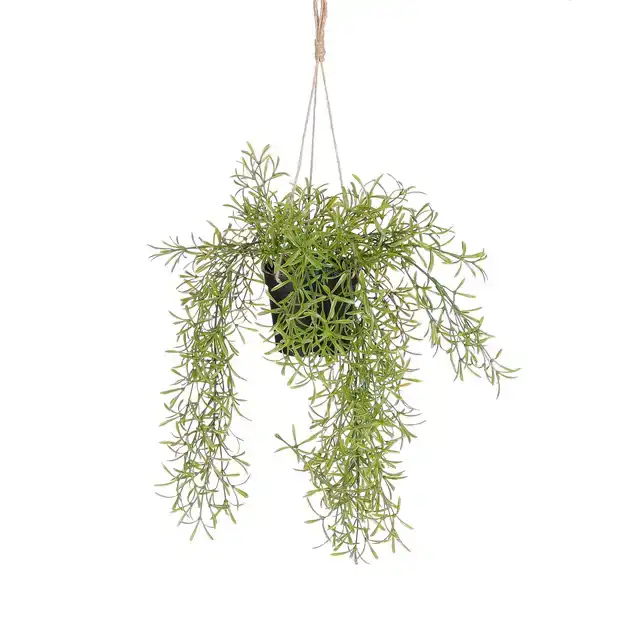 KUNSTPLANT MICA RHIPSALIS HANGEND IN