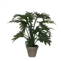 KUNSTPLANT MICA PHILODENDRON SELLOUM