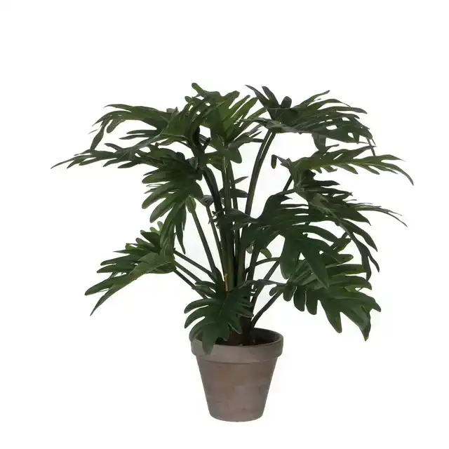 KUNSTPLANT MICA PHILODENDRON SELLOUM