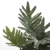 KUNSTPLANT MICA PHILODENDRON SELLOUM