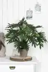 KUNSTPLANT MICA PHILODENDRON SELLOUM