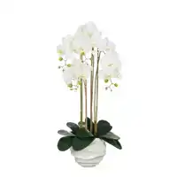 KUNSTPLANT MICA PHALAENOPSIS IN POT WIT