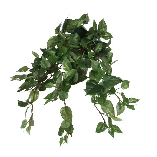 KUNSTPLANT MICA SCINDAPSUS HANGEND