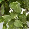 KUNSTPLANT MICA SCINDAPSUS HANGEND