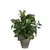 KUNSTPLANT MICA SYNGONIUM GROEN IN POT