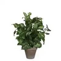 KUNSTPLANT MICA SYNGONIUM GROEN IN POT