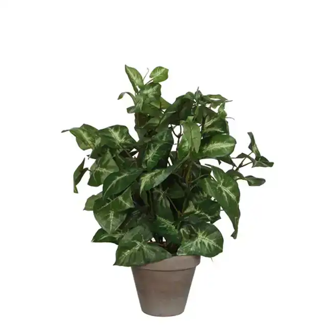 KUNSTPLANT MICA SYNGONIUM GROEN IN POT