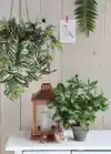 KUNSTPLANT MICA SYNGONIUM GROEN IN POT