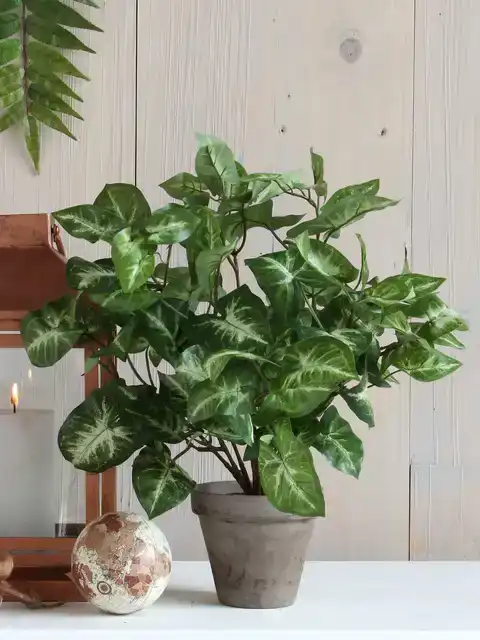 KUNSTPLANT MICA SYNGONIUM GROEN IN POT
