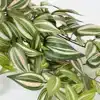 KUNSTPLANT MICA TRADESCANTIA HANGEND