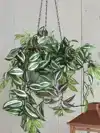 KUNSTPLANT MICA TRADESCANTIA HANGEND