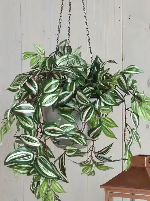 KUNSTPLANT MICA TRADESCANTIA HANGEND