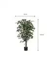 KUNSTPLANT MICA FICUS GROEN IN POT