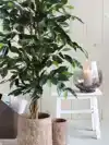KUNSTPLANT MICA FICUS GROEN IN POT