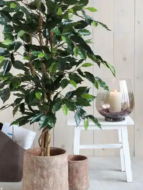 KUNSTPLANT MICA FICUS GROEN IN POT