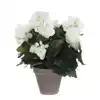 KUNSTPLANT MICA BEGONIA WIT IN POT STAN