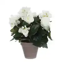 KUNSTPLANT MICA BEGONIA WIT IN POT STAN