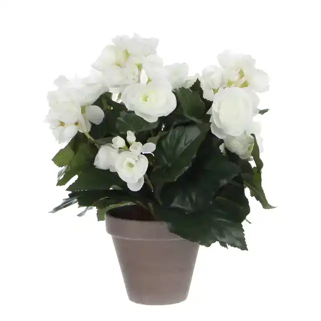 KUNSTPLANT MICA BEGONIA WIT IN POT STAN