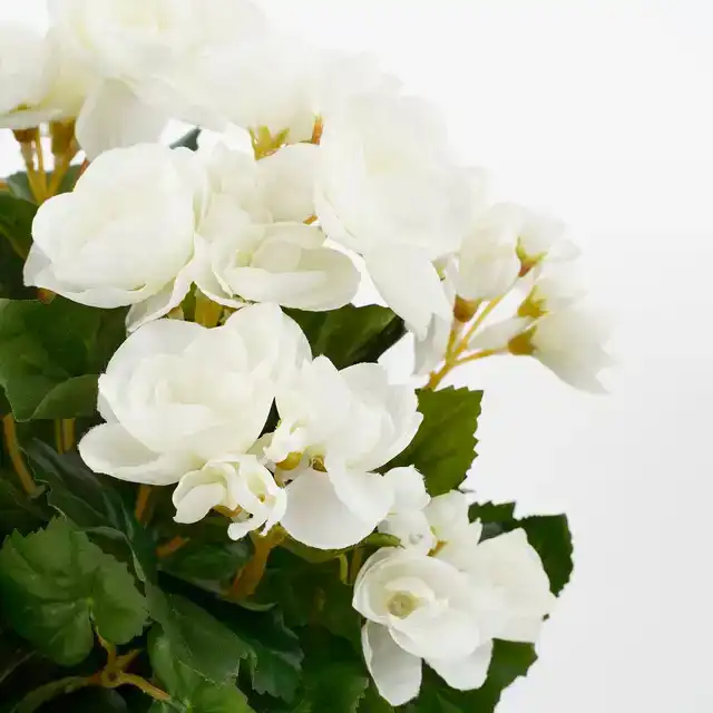 KUNSTPLANT MICA BEGONIA WIT IN POT STAN