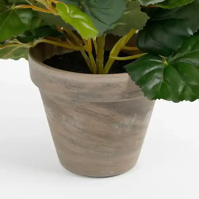 KUNSTPLANT MICA BEGONIA WIT IN POT STAN