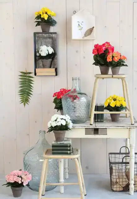 KUNSTPLANT MICA BEGONIA WIT IN POT STAN