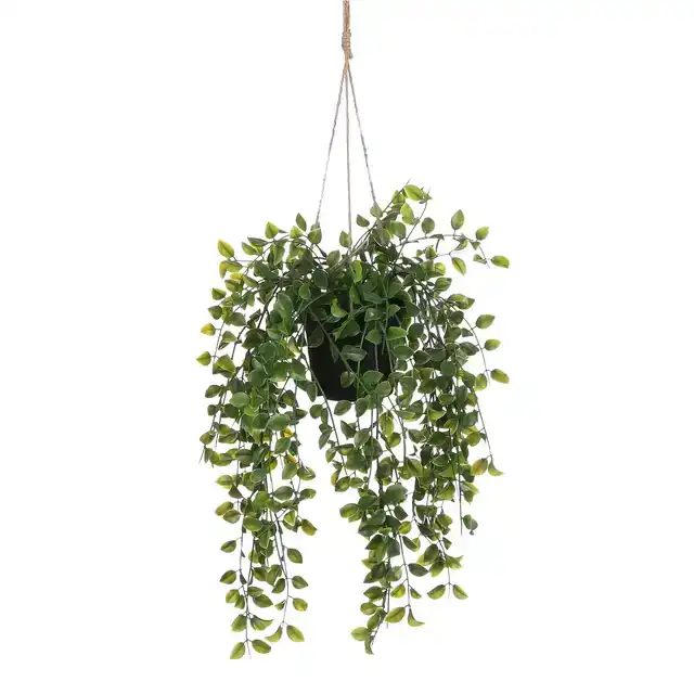 KUNSTPLANT MICA FICUS HANGEND IN POT