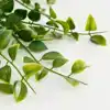 KUNSTPLANT MICA FICUS HANGEND IN POT
