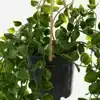 KUNSTPLANT MICA FICUS HANGEND IN POT
