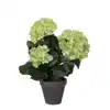 KUNSTPLANT MICA HORTENSIA IN POT GROEN