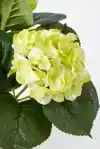 KUNSTPLANT MICA HORTENSIA IN POT GROEN