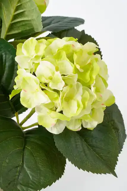 KUNSTPLANT MICA HORTENSIA IN POT GROEN