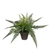 KUNSTPLANT MICA VAREN GROEN IN POT STAN