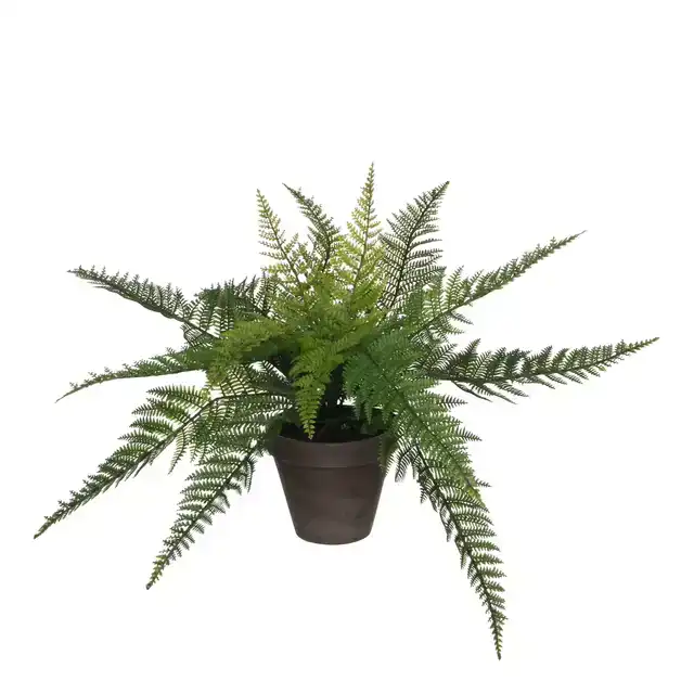 KUNSTPLANT MICA VAREN GROEN IN POT STAN