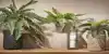 KUNSTPLANT MICA VAREN GROEN IN POT STAN