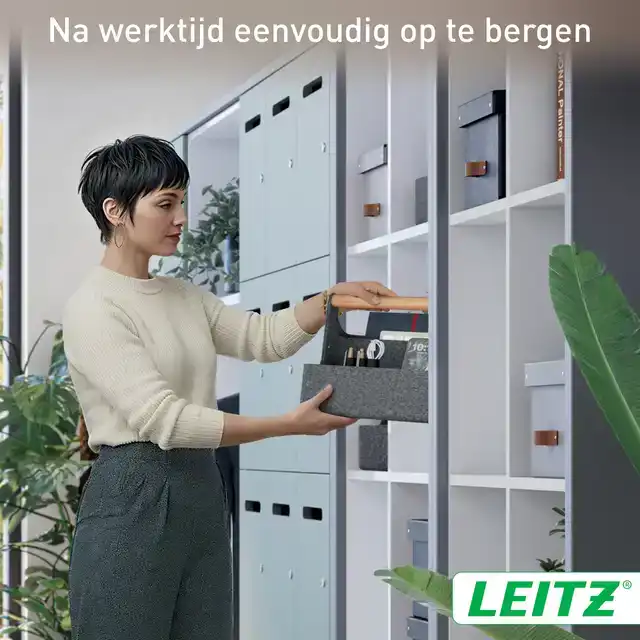 BUREAU ORGANIZER LEITZ DRAAGBAAR