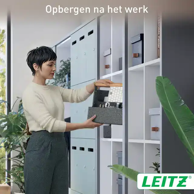 BUREAU ORGANIZER LEITZ DRAAGBAAR HAN