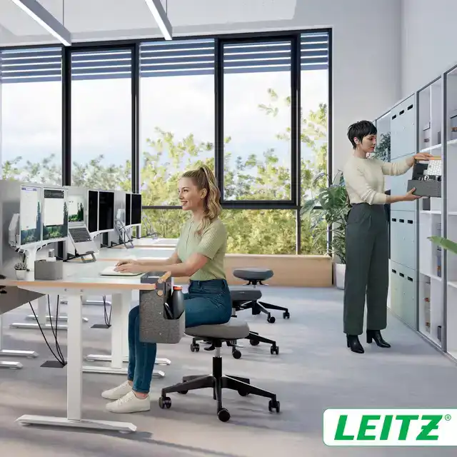 BUREAU ORGANIZER LEITZ DRAAGBAAR HAN