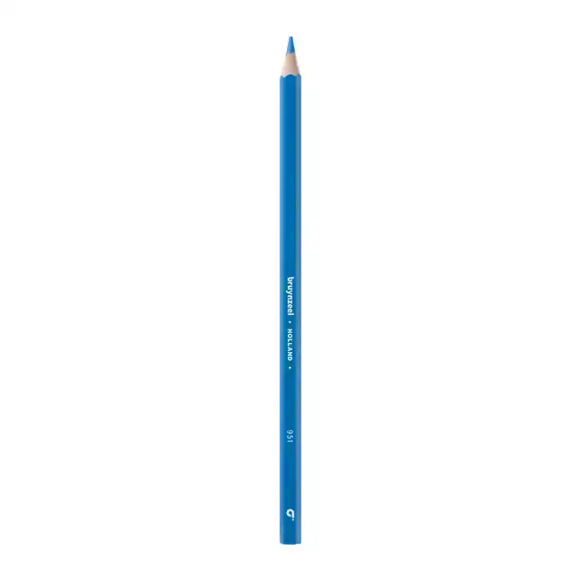 KLEURPOTLOOD BRUYNZEEL SUPER 951