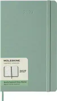 AGENDA 2027 MSK PLAN WEEK LARGE HC SAGE