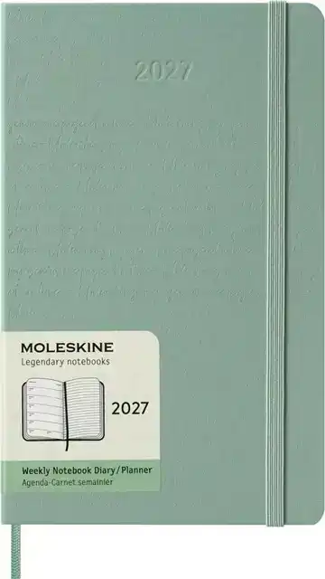 AGENDA 2027 MSK PLAN WEEK LARGE HC SAGE