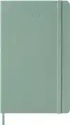AGENDA 2027 MSK PLAN WEEK LARGE HC SAGE
