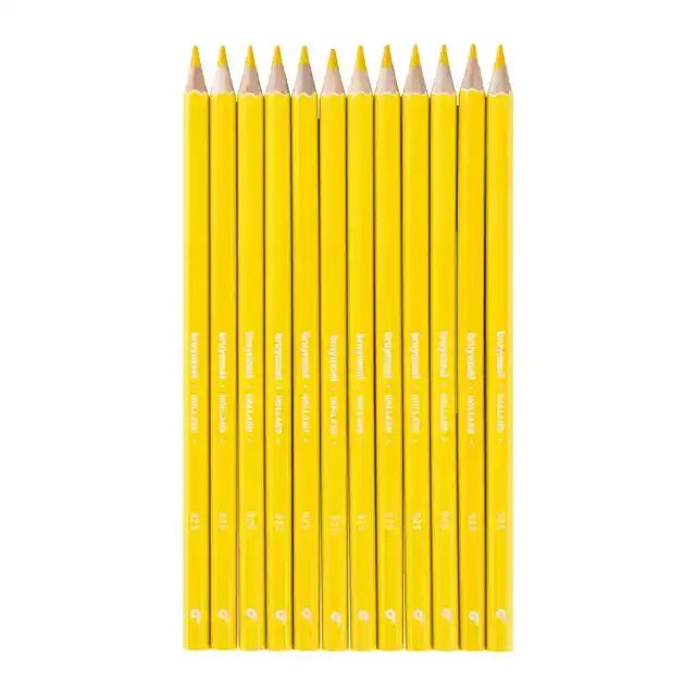 KLEURPOTLOOD BRUYNZEEL SUPER 925