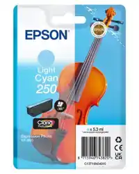 INKTCARTRIDGE EPSON 250 T16N54 LICHT