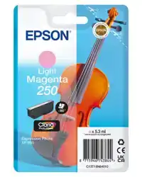 INKTCARTRIDGE EPSON 250 T16N64 LICHT