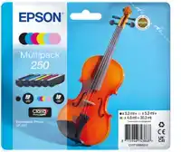 INKTCARTRIDGE EPSON 250 T16N84 ZWART +