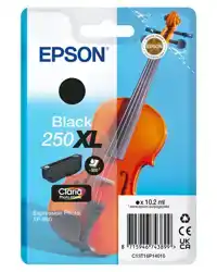 INKTCARTRIDGE EPSON 250XL T16P14 ZWART