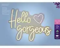 LEDBORD LUMINEO INDOOR USB NEON HELLO